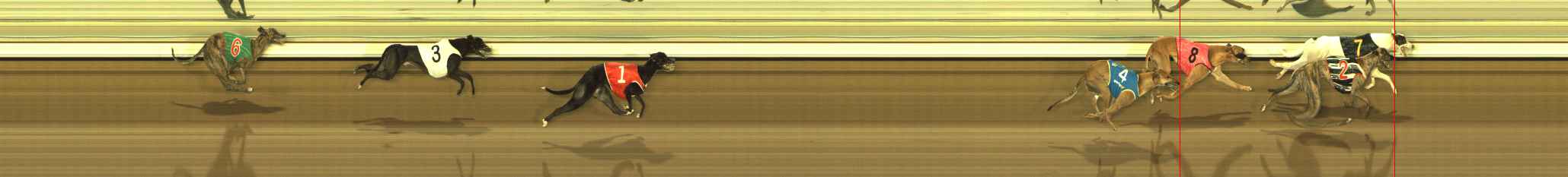Race result finish photo